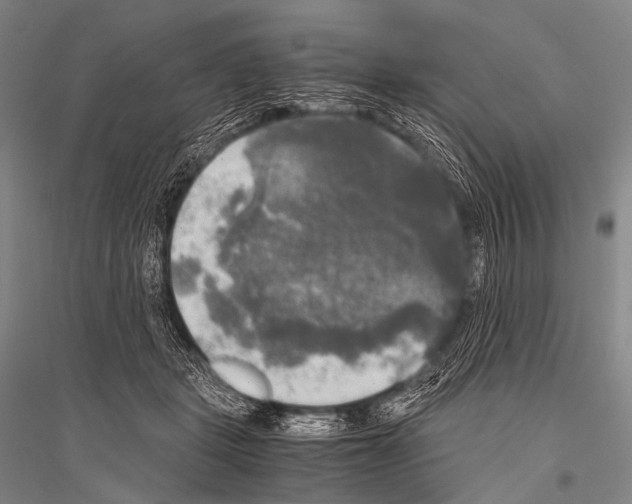 X0000116800461201001291544