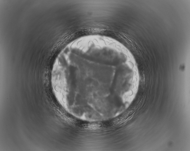 X0000116800462201001291544