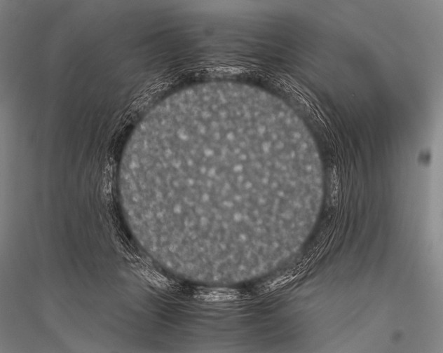 X0000116800463201001291544
