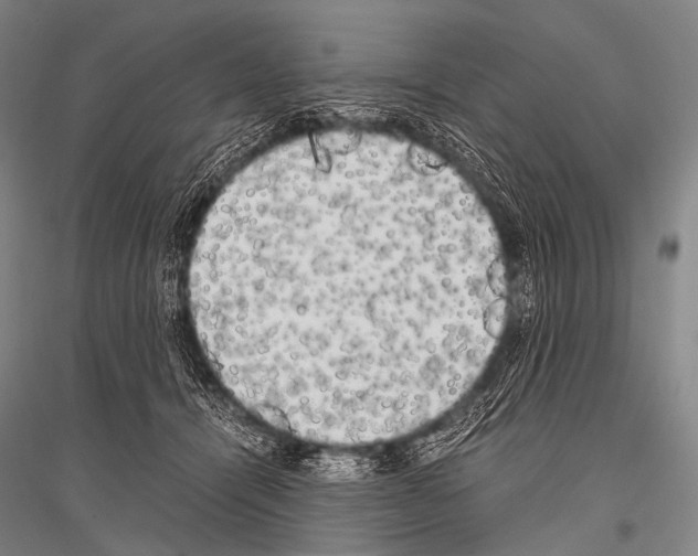 X0000116800464201001291544