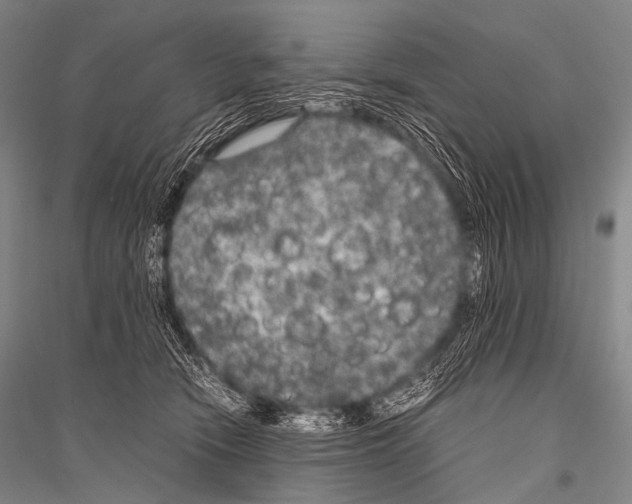 X0000116800466201001291544