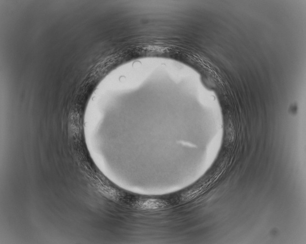 X0000116800467201001291544