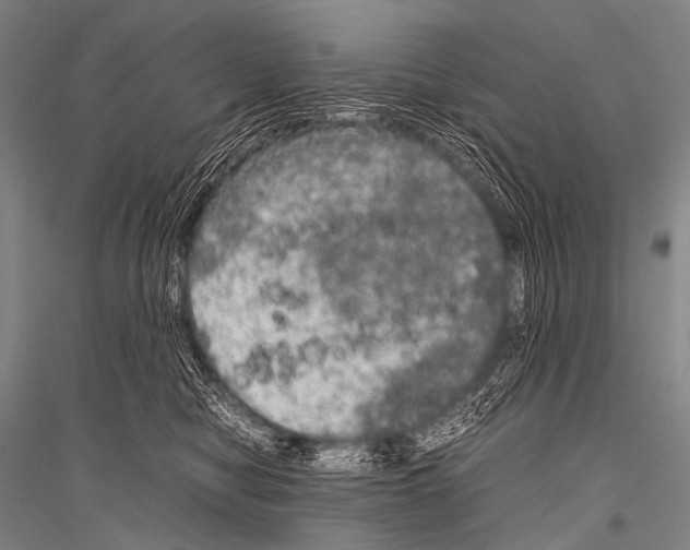 X0000116800470201001291544