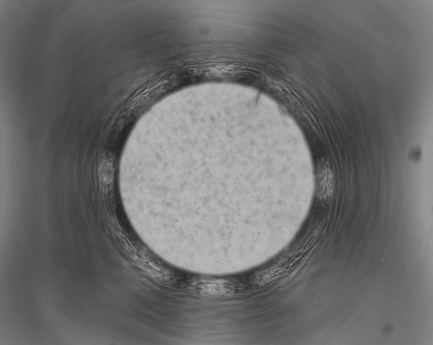 X0000116800472201001291544