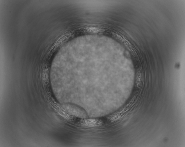 X0000116800473201001291544