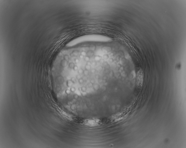X0000116800474201001291544