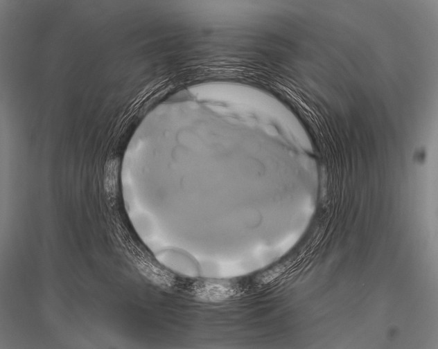 X0000116800475201001291544