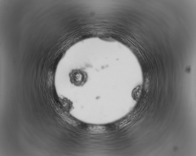 X0000116800476201001291544