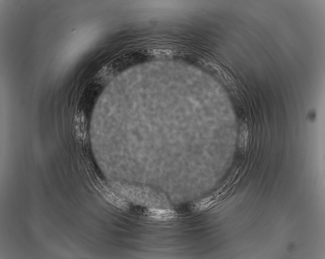 X0000116800477201001291544