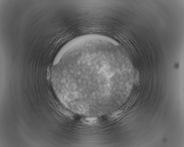 X0000116800478201001291544