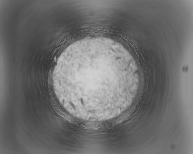 X0000116800480201001291544