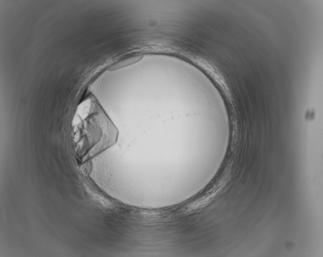 X0000116800481201001291543