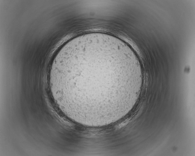 X0000116800482201001291543