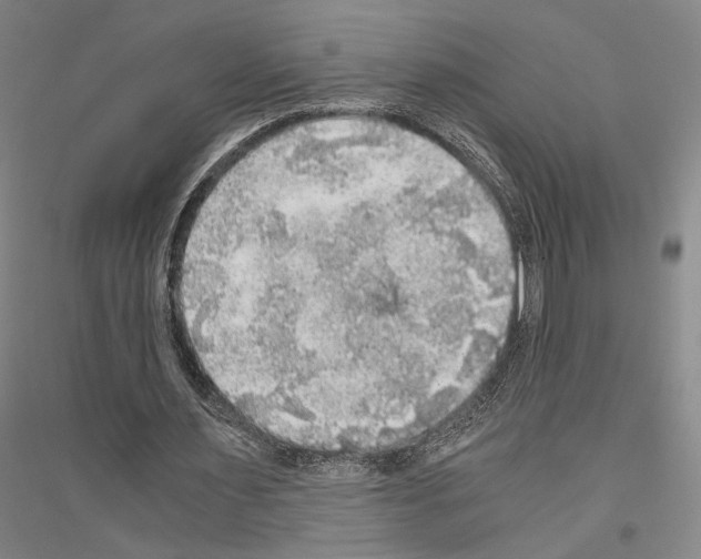 X0000116800483201001291543