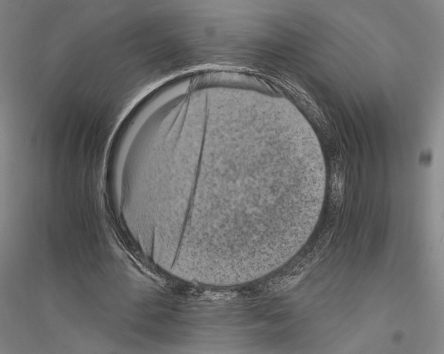 X0000116800484201001291543