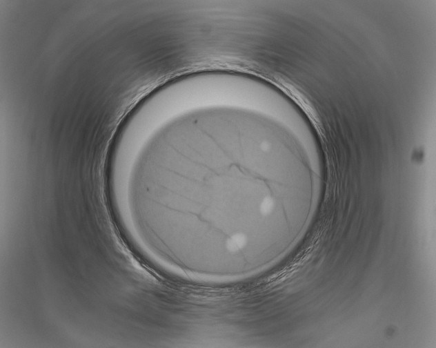 X0000116800485201001291543