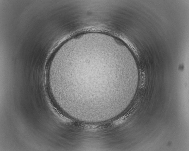 X0000116800486201001291543