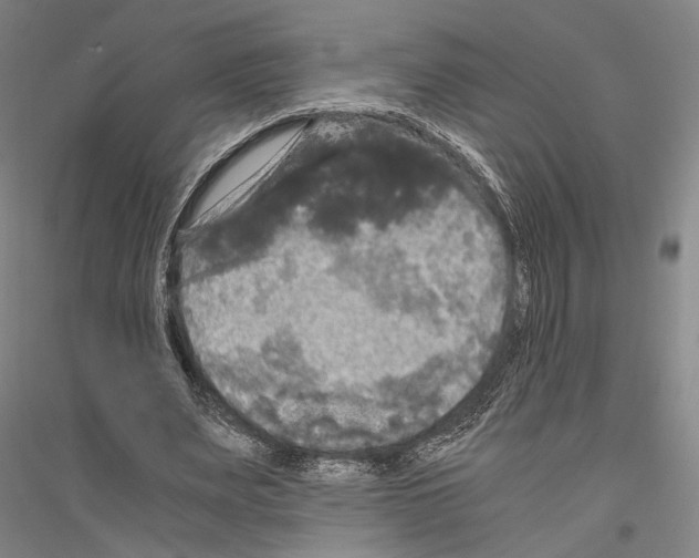 X0000116800487201001291543
