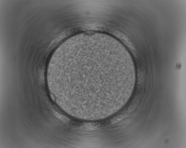 X0000116800489201001291543