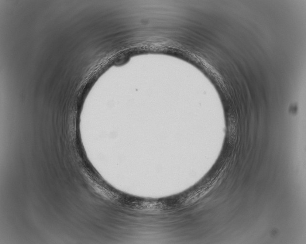 X0000116800493201001291543