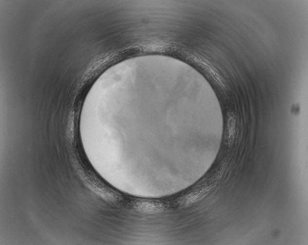 X0000116800494201001291543