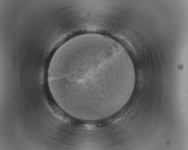 X0000116800496201001291543