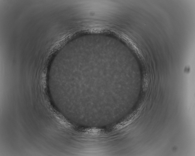 X0000116800497201001291543