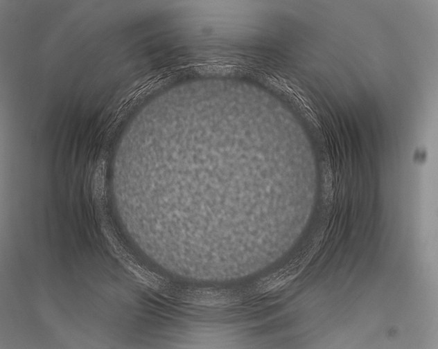 X0000116800498201001291543