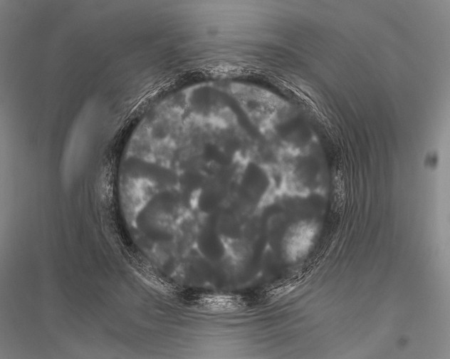 X0000116800499201001291543