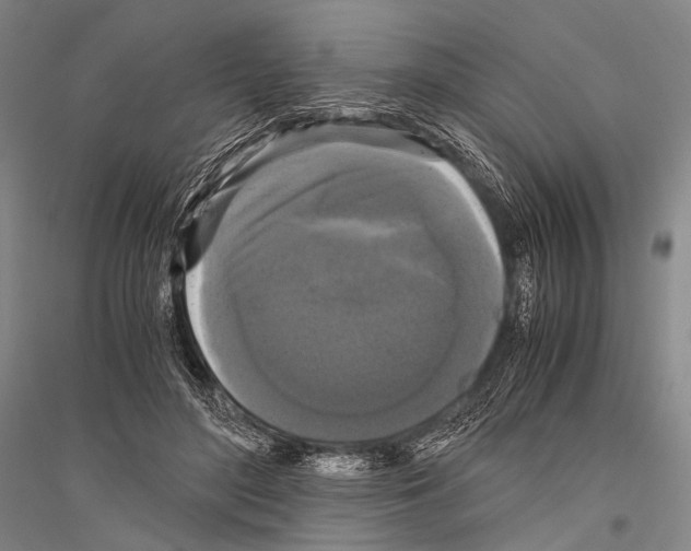 X0000116800500201001291543