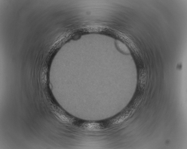 X0000116800501201001291543