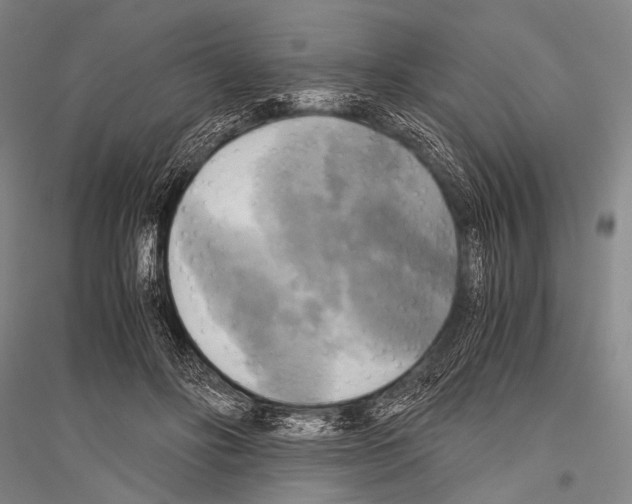 X0000116800502201001291543
