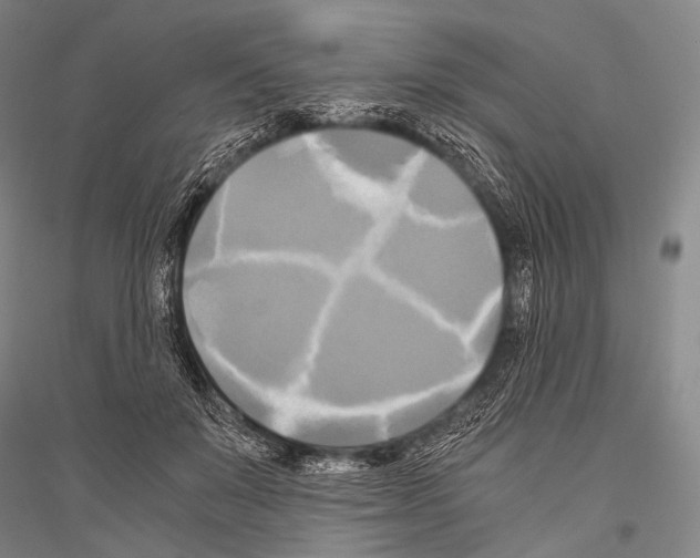 X0000116800503201001291543