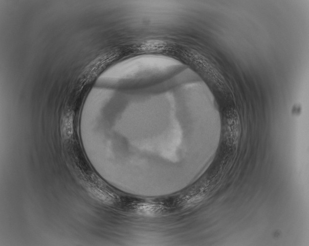 X0000116800504201001291543