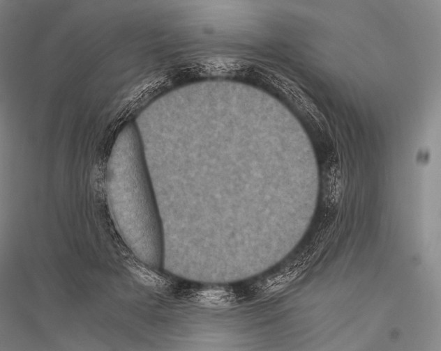 X0000116800505201001291543