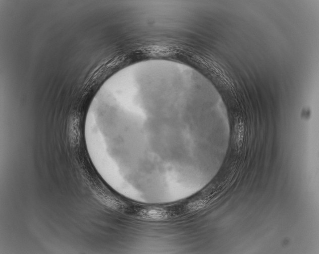X0000116800506201001291543