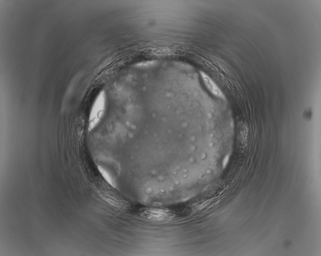 X0000116800507201001291543