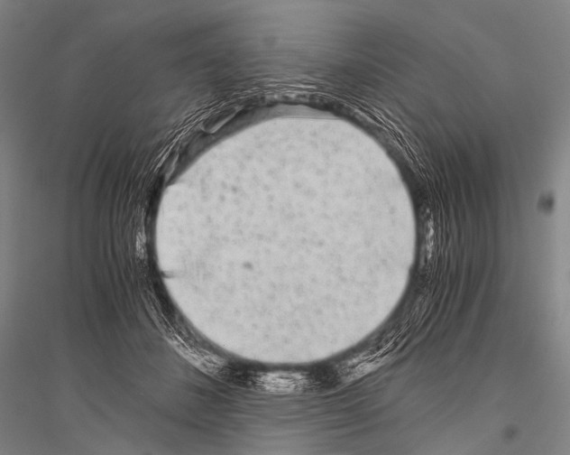 X0000116800508201001291543