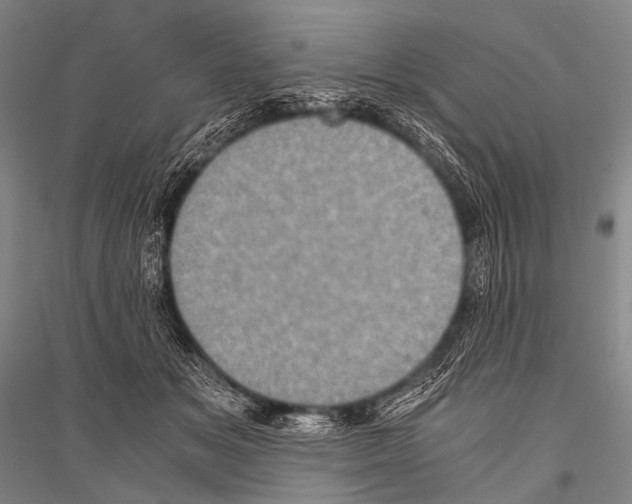 X0000116800509201001291543