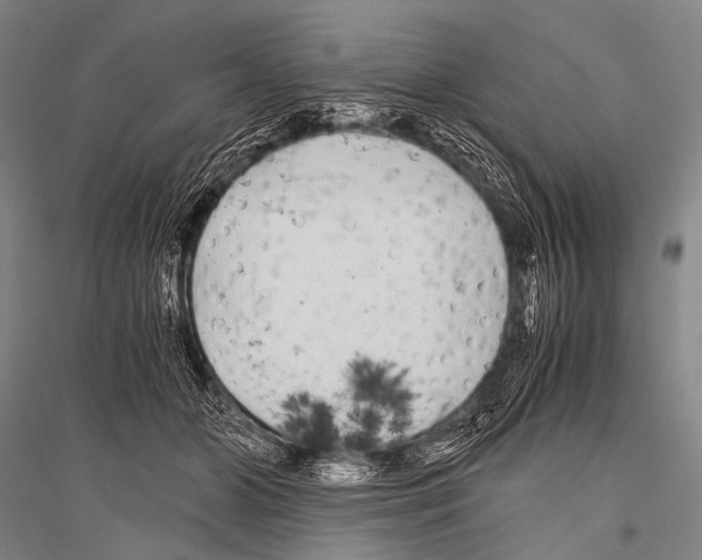 X0000116800510201001291543