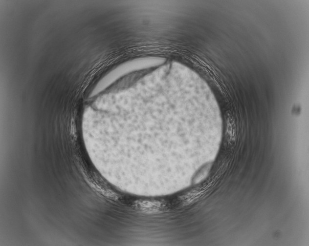 X0000116800512201001291543