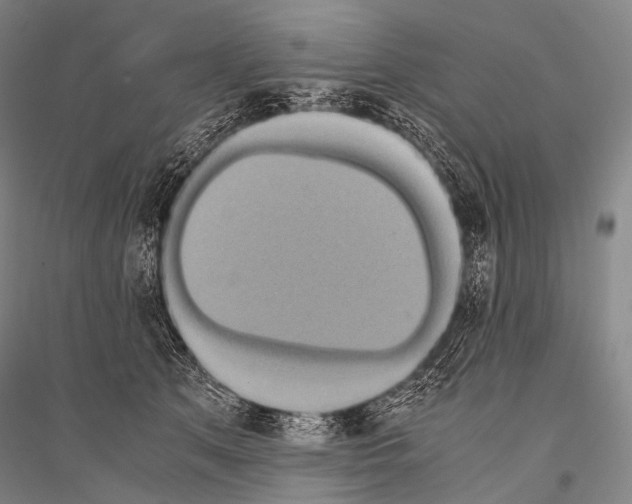 X0000116800513201001291543