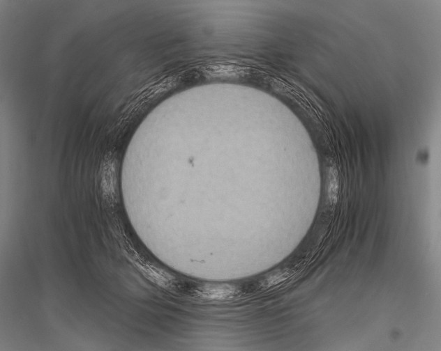 X0000116800514201001291543