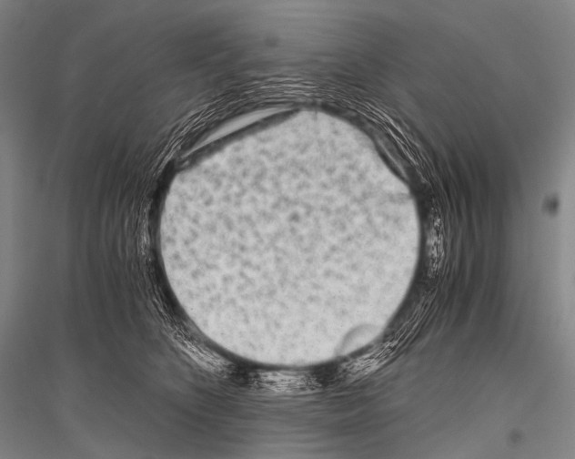 X0000116800516201001291543