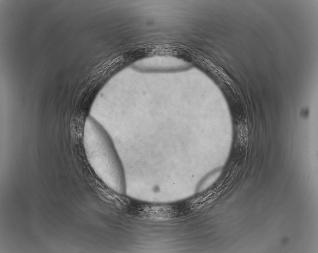 X0000116800517201001291543