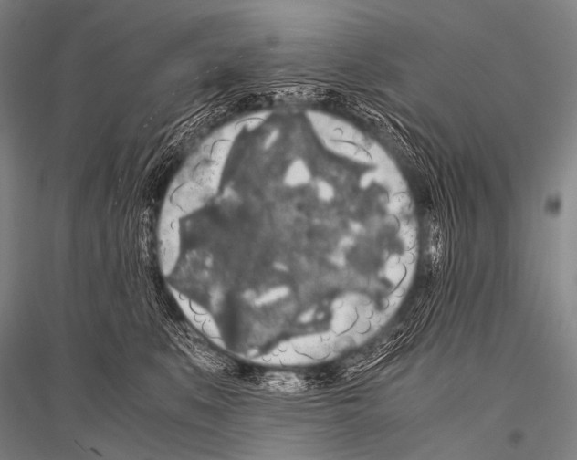 X0000116800519201001291543