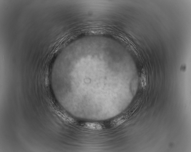 X0000116800520201001291543