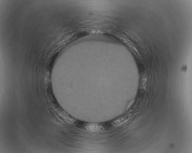 X0000116800521201001291543