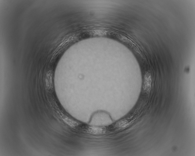 X0000116800522201001291543