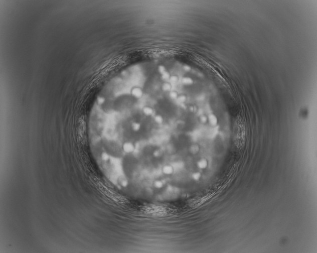 X0000116800523201001291543
